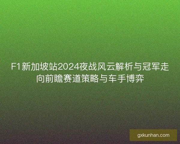 F1新加坡站2024夜战风云解析与冠军走向前瞻赛道策略与车手博弈